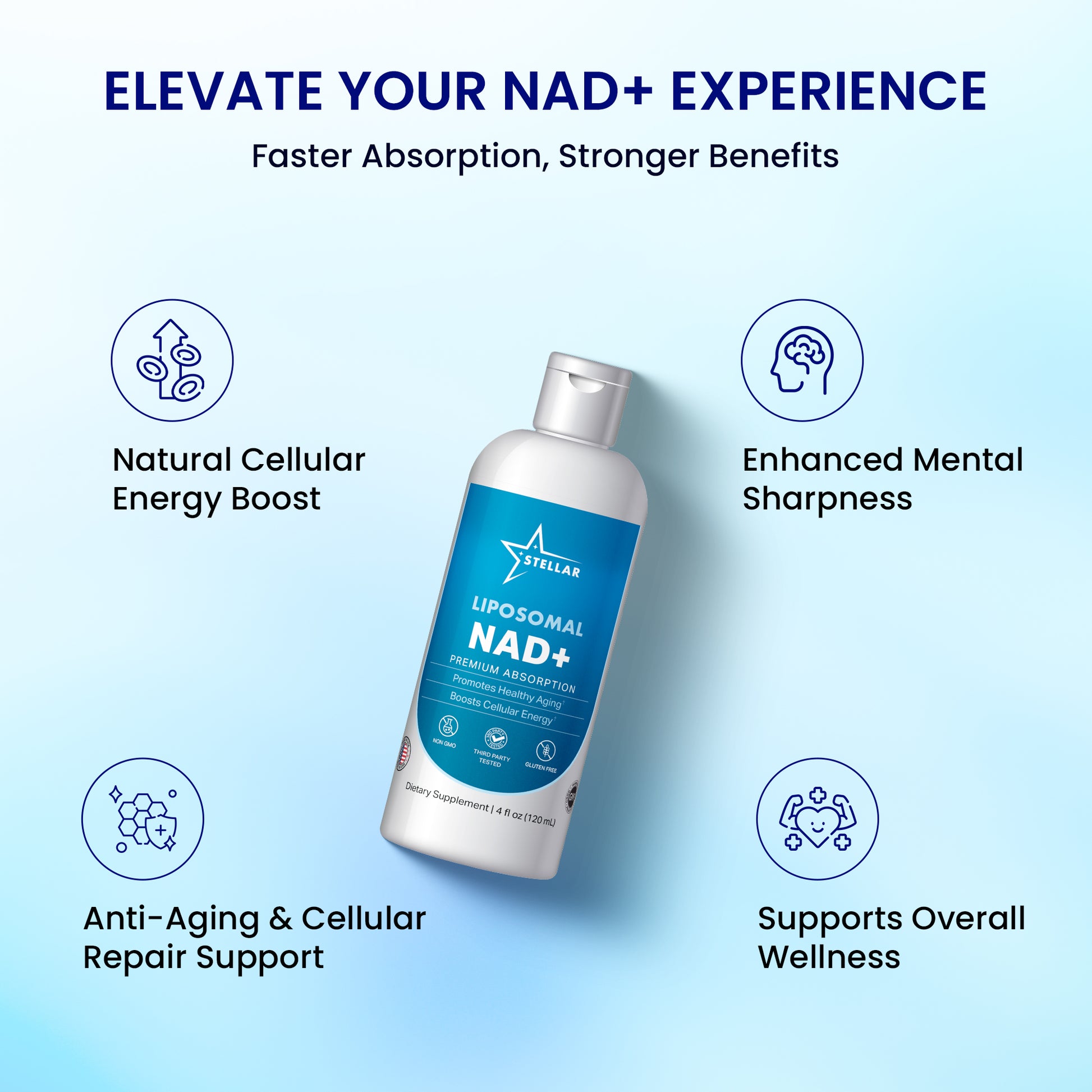Stellar Liposomal NAD+ – Premium Absorption | Cellular Energy & Healthy Aging Support (4 fl oz)
